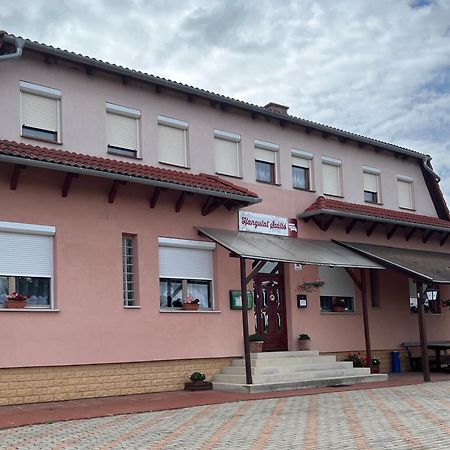 Hangulat Szallo Zalaszentbalazs Bagian luar foto